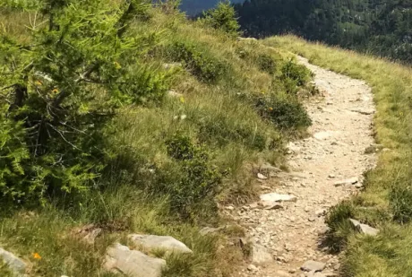 Prayer Paths